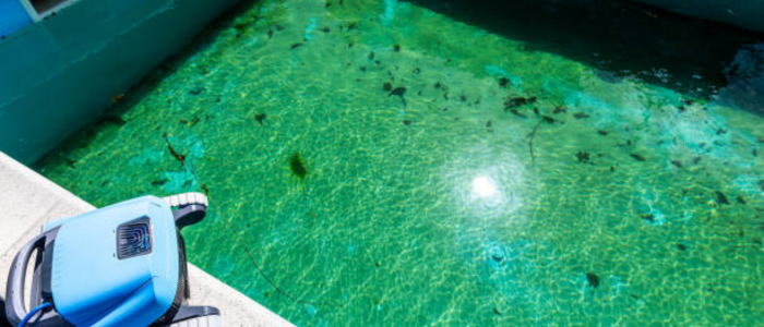 água turva ou verde