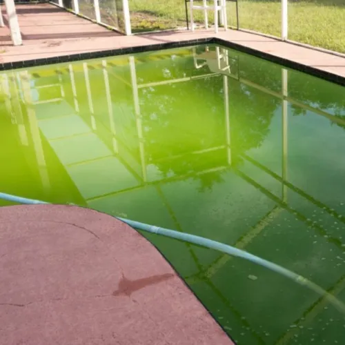 5 Erros Comuns na Manutenção de Piscinas e Como Evitá-los