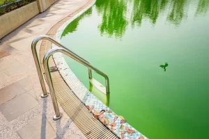 agua-verde-piscina