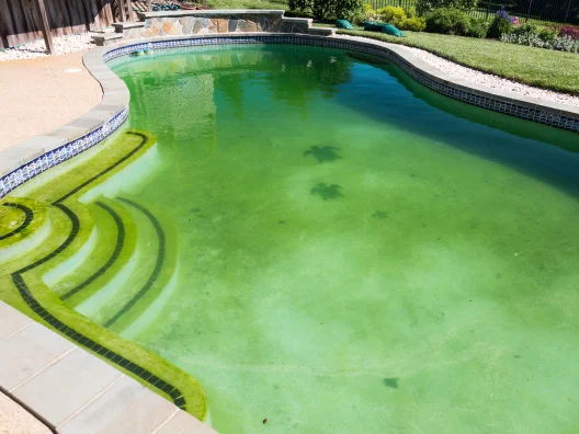 Como resolver água verde na piscina