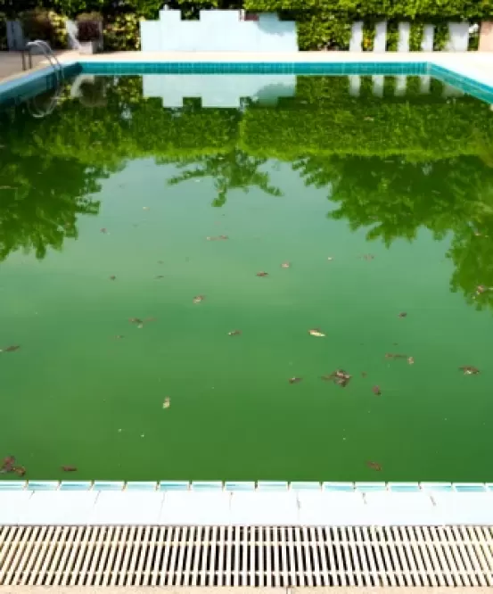 piscina-com-lixo-aspirador